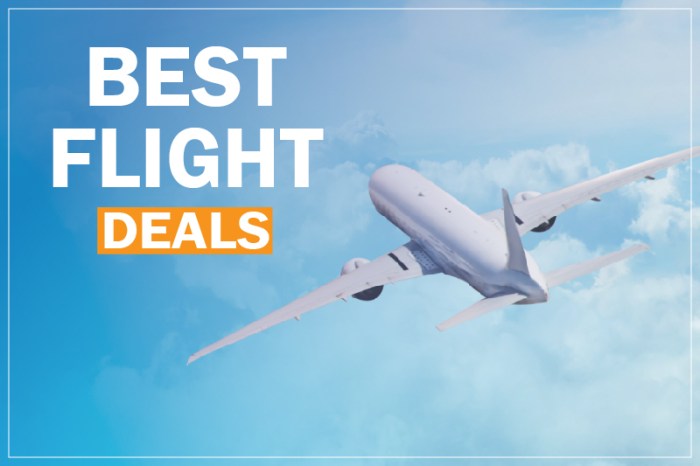 Best Flight Deals 2024