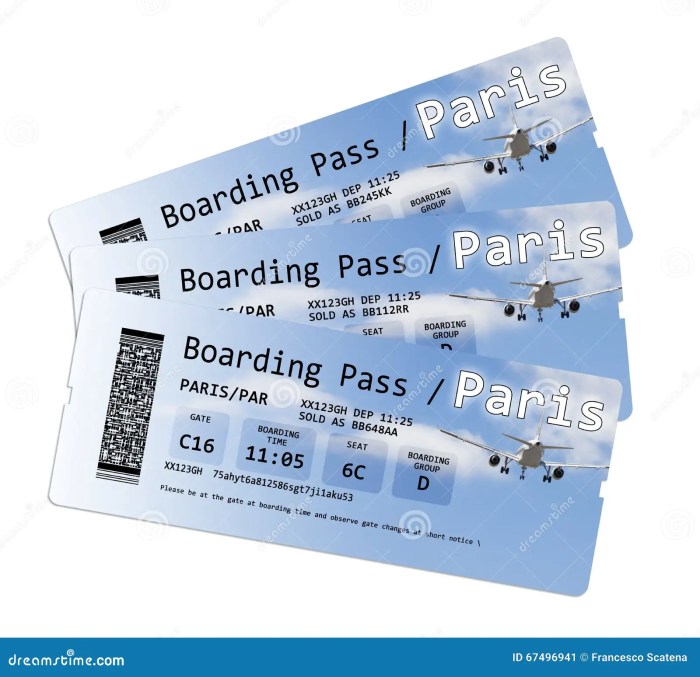 Paris tickets france europe airline boarding pass preview